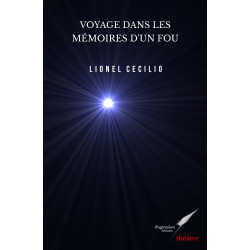 Voyage dans les mémoires d'un fou (eBook)