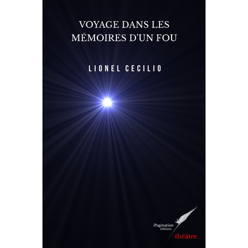 Voyage dans les mémoires d'un fou (eBook)