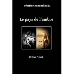 Le pays de l'ambre - Béatrice Renondineau